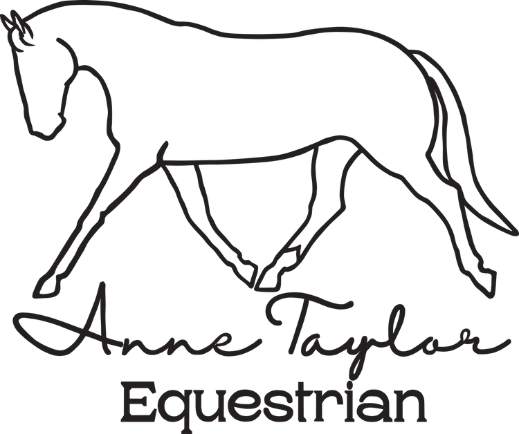 Anne Taylor Equestrian