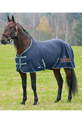 Paramount Fleece Cooler