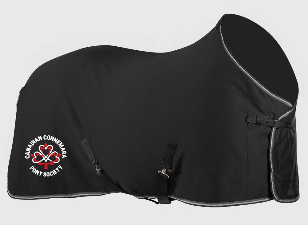 CCPS 'Chicago' Fleece Rug