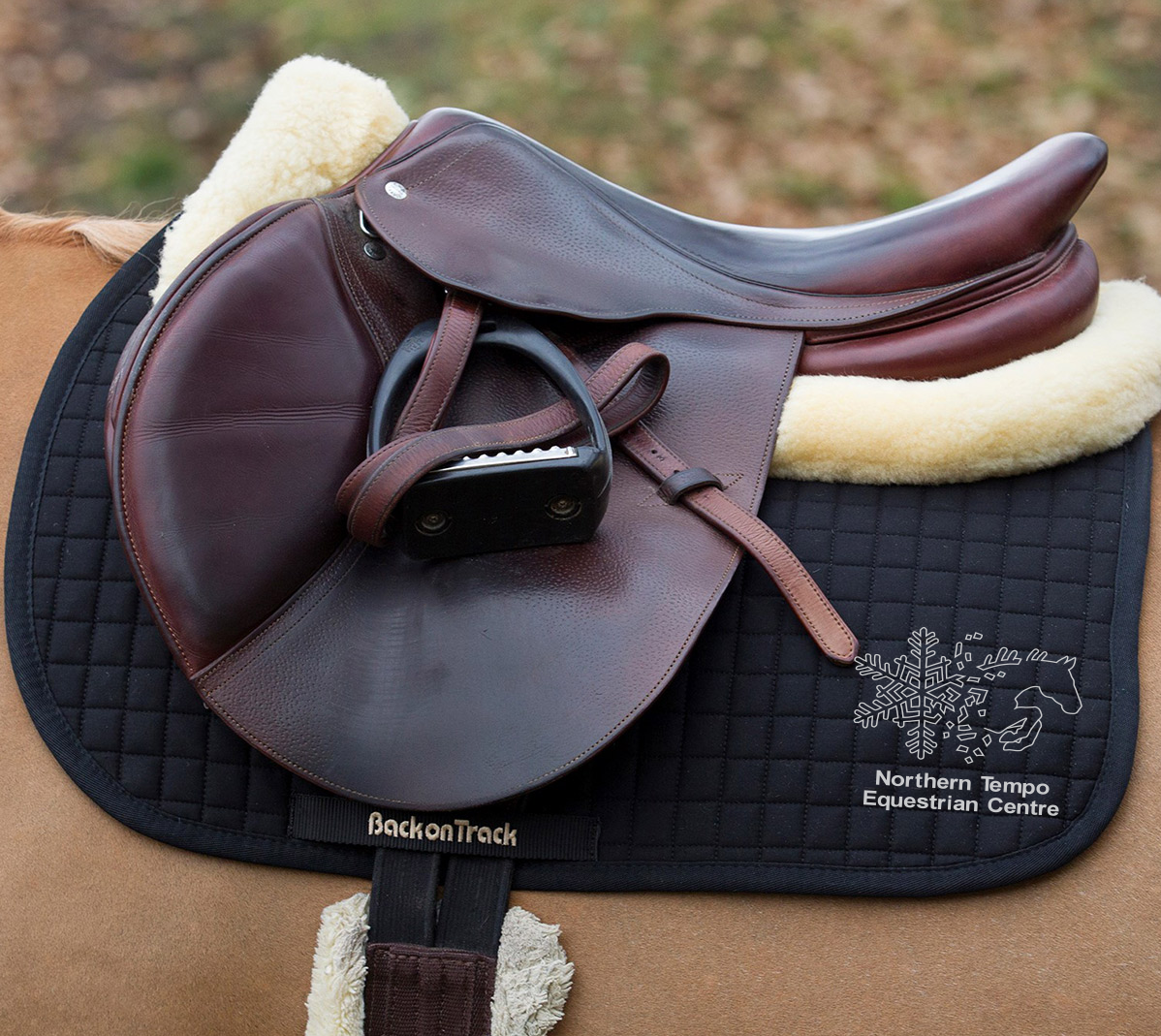 Northern Tempo 'Back on Track' Saddle Pad