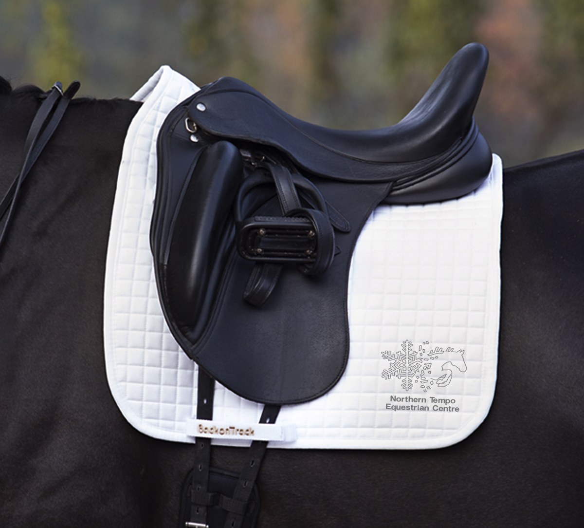 Northern Tempo 'Back on Track' Saddle Pad