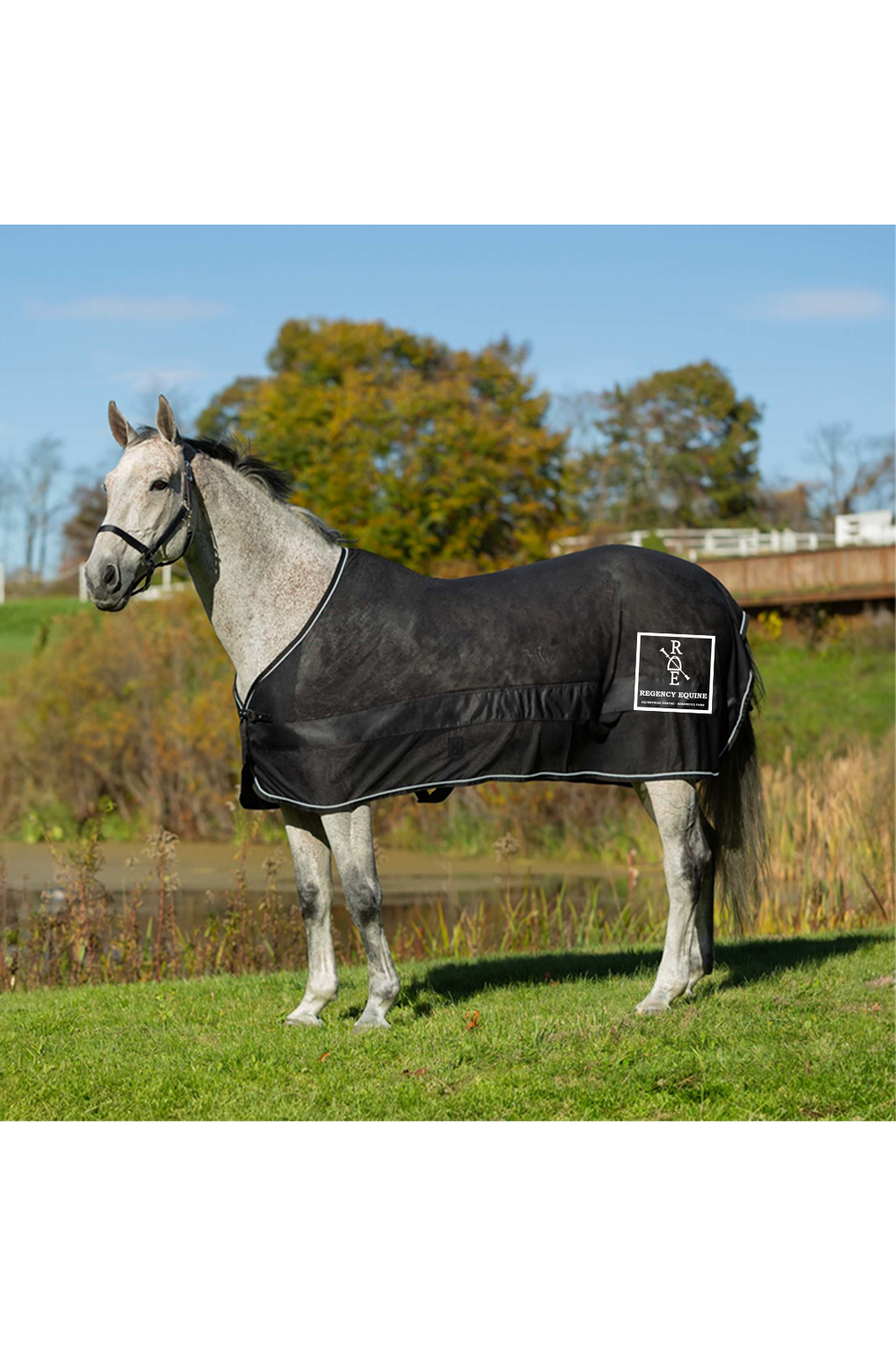 Regency Equine 'Ringside Scrim.