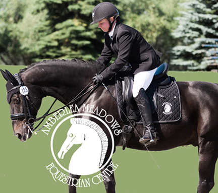 Amberlea Meadows Equestrian Centre