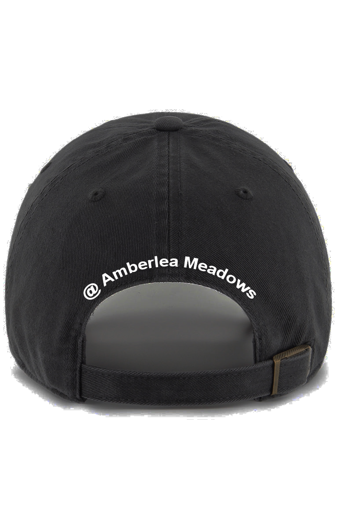 NEW - Blue Sky Farms '47 CLEAN UP' Ballcap.