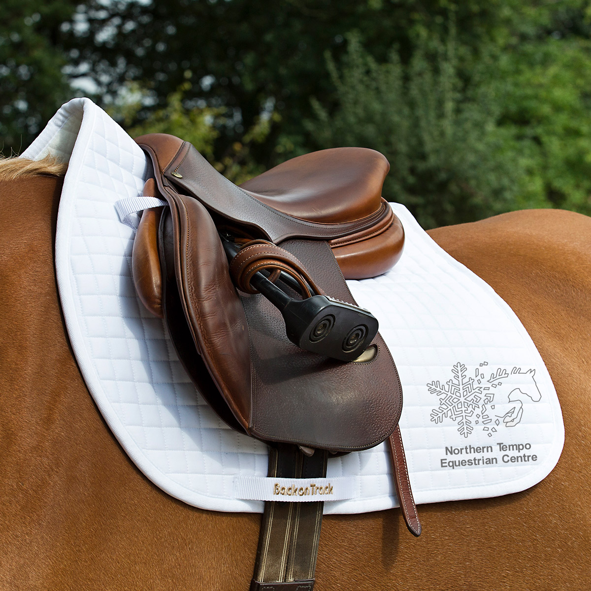 Northern Tempo 'Back on Track' Saddle Pad