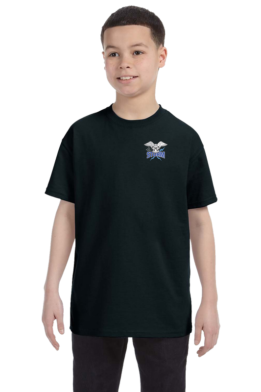 St Mary's Elementary Tee Shirt.