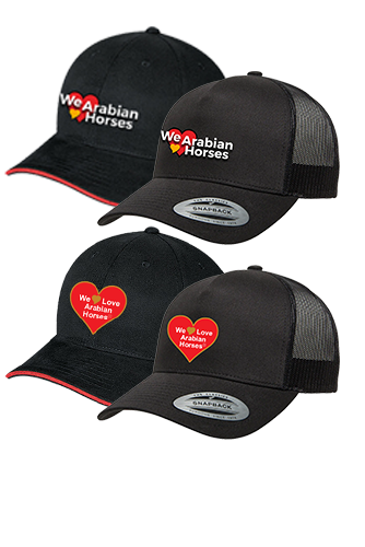 We Love Arabian Horses Ballcap