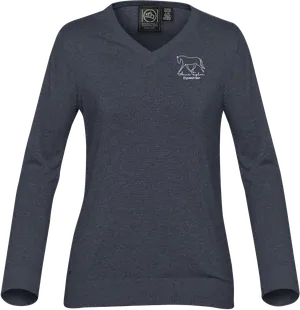 Anne Taylor 'Laguna' V-Neck Sweater