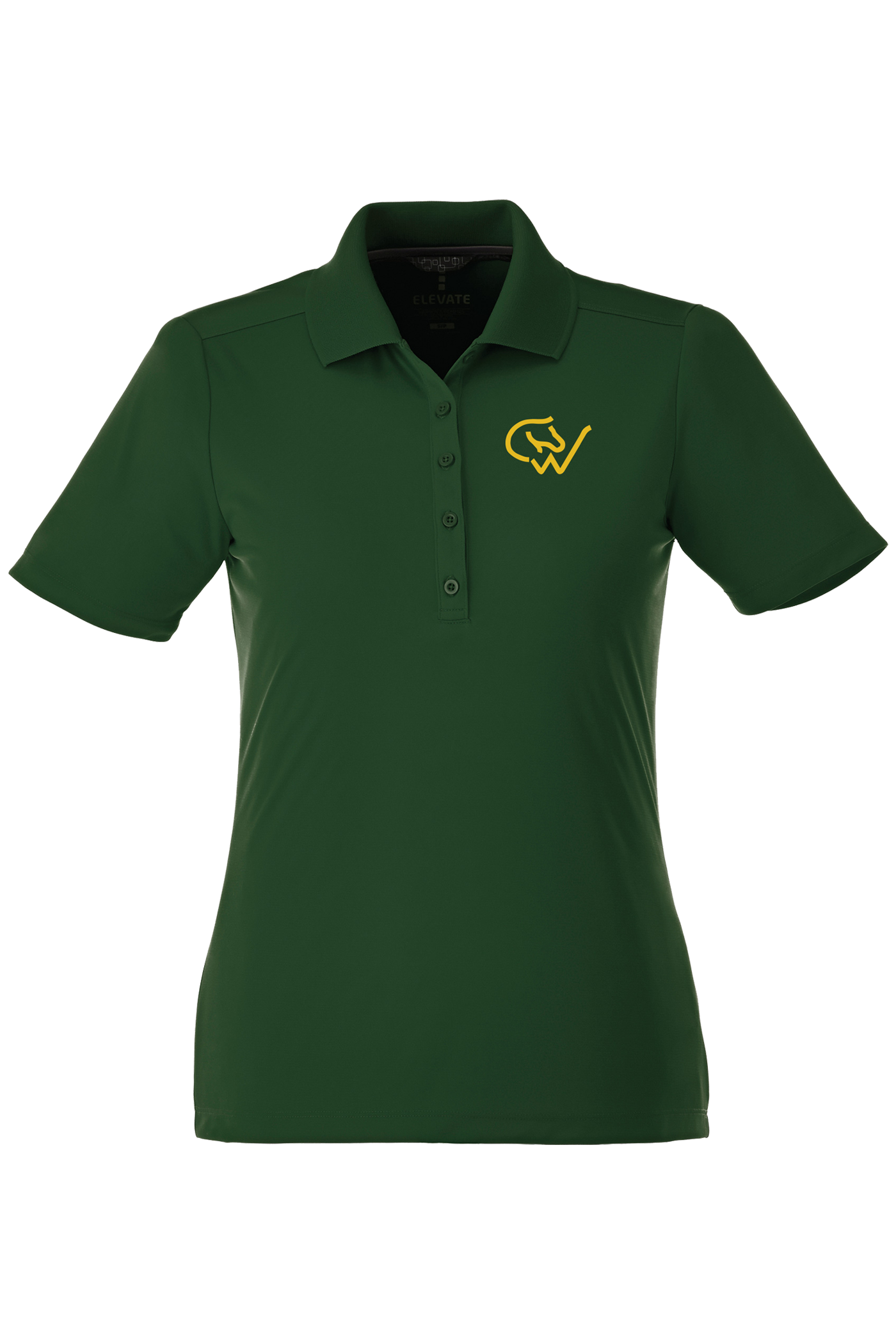 Canadian Warmblood 'Dade' Polo