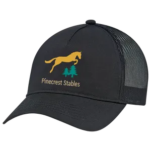 Pinecrest 'Ponytail' Ballcap